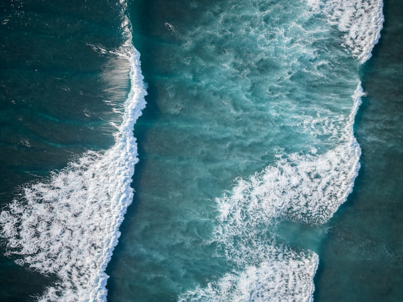 Ocean sample artwork